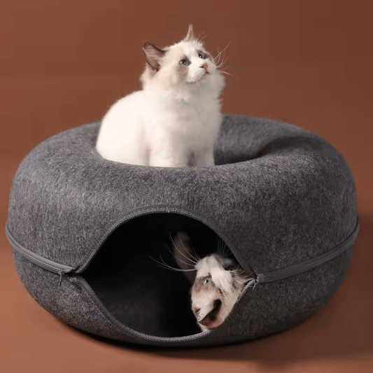 Donut Cat Tunnel Bed - mylittlemunchkin