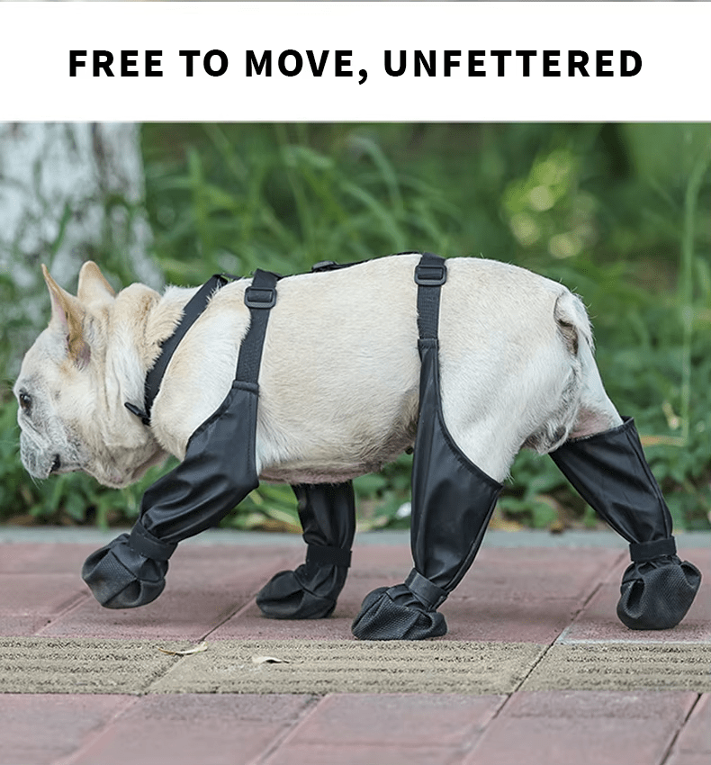 Ultimate Protection Dog Boots (Dog Suspenders) - mylittlemunchkin