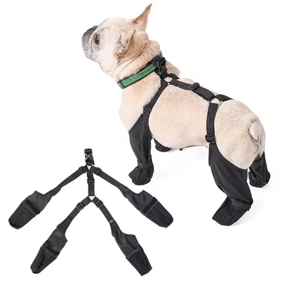 Ultimate Protection Dog Boots (Dog Suspenders) - mylittlemunchkin